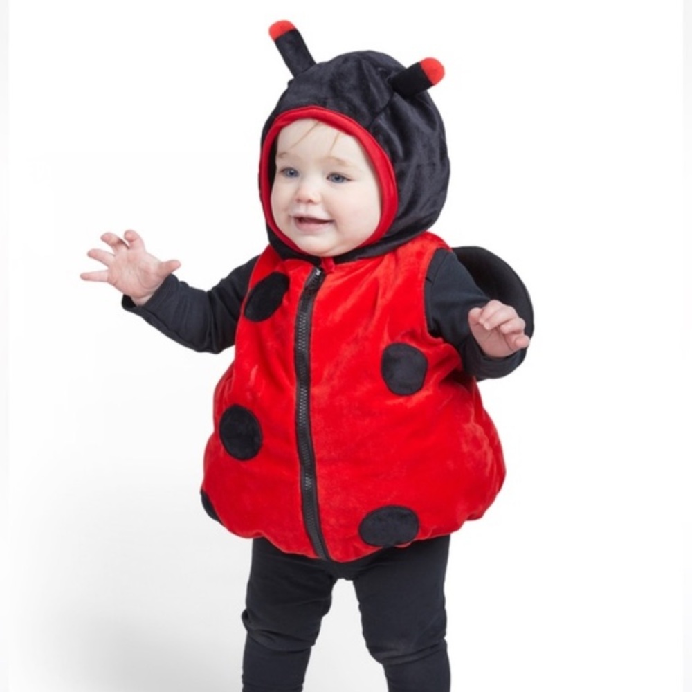 Never worn - 6-9 month ladybug costume with wings